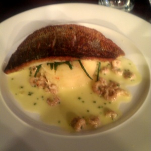 sea bass main course at Chapel 1877 in Cardiff