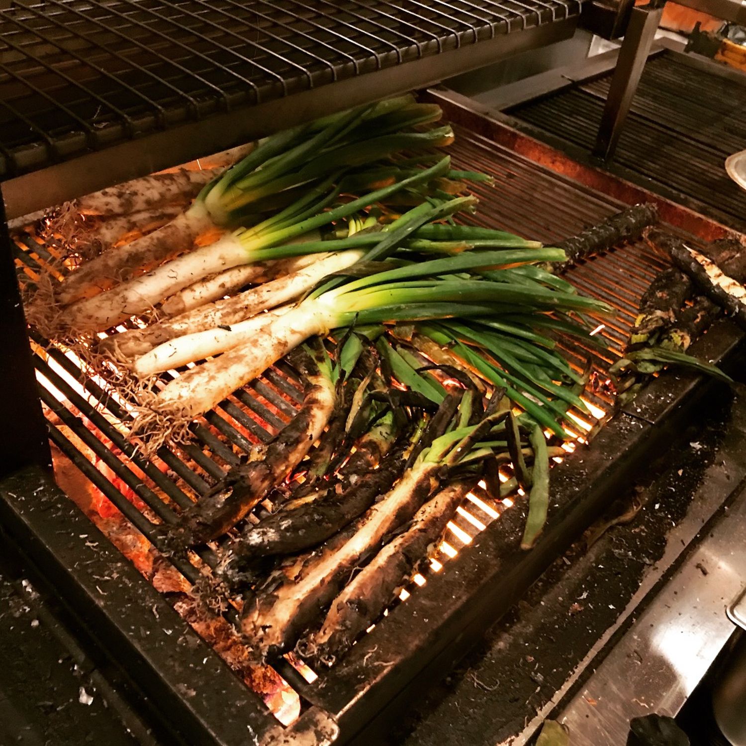 Calcots being cooked on asado grill at Asador 44 Cardiff