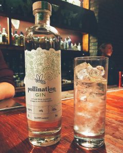 pollination gin and tonic at Pennyroyal Cardiff