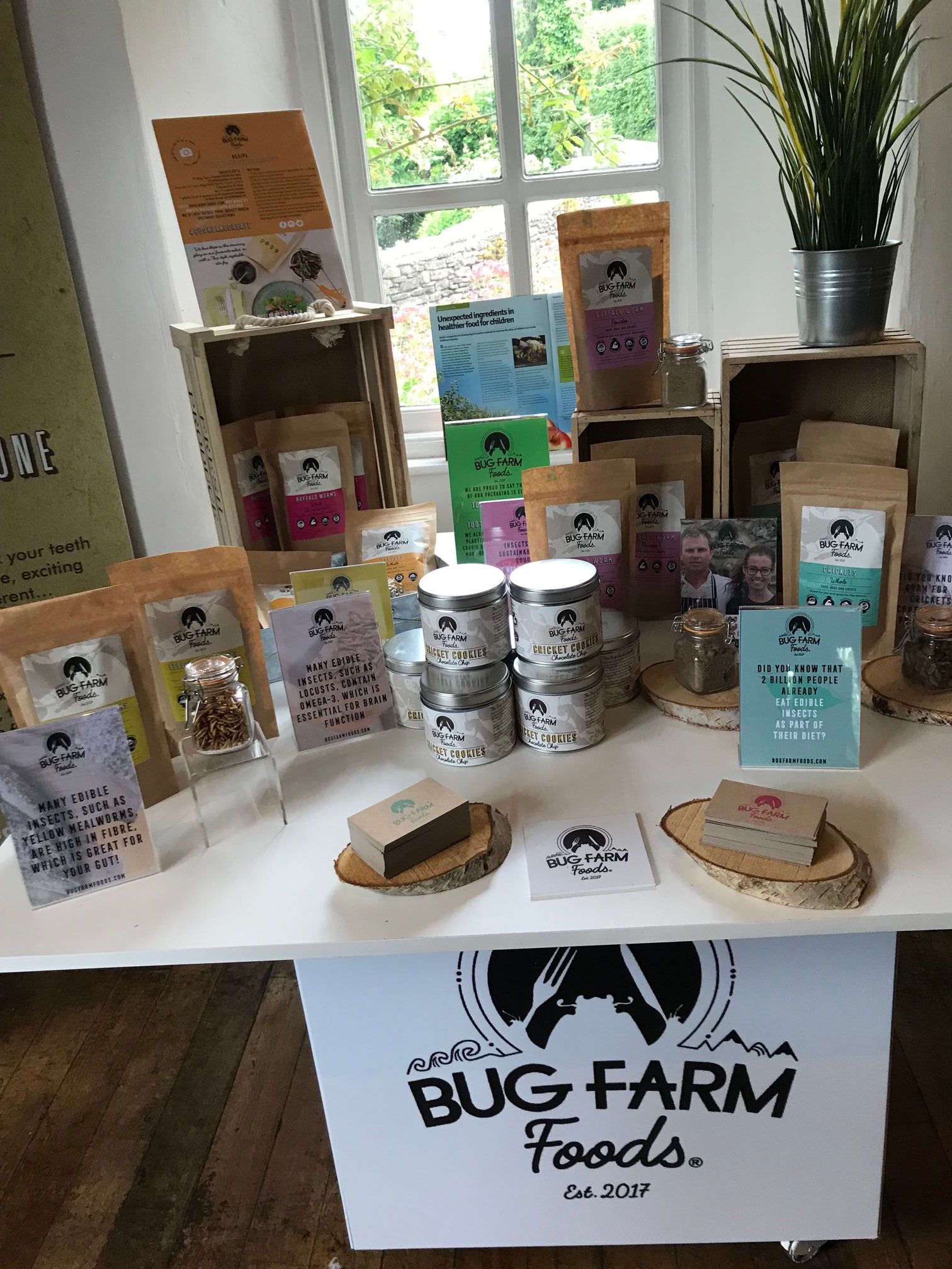 bug farm insect flours and food